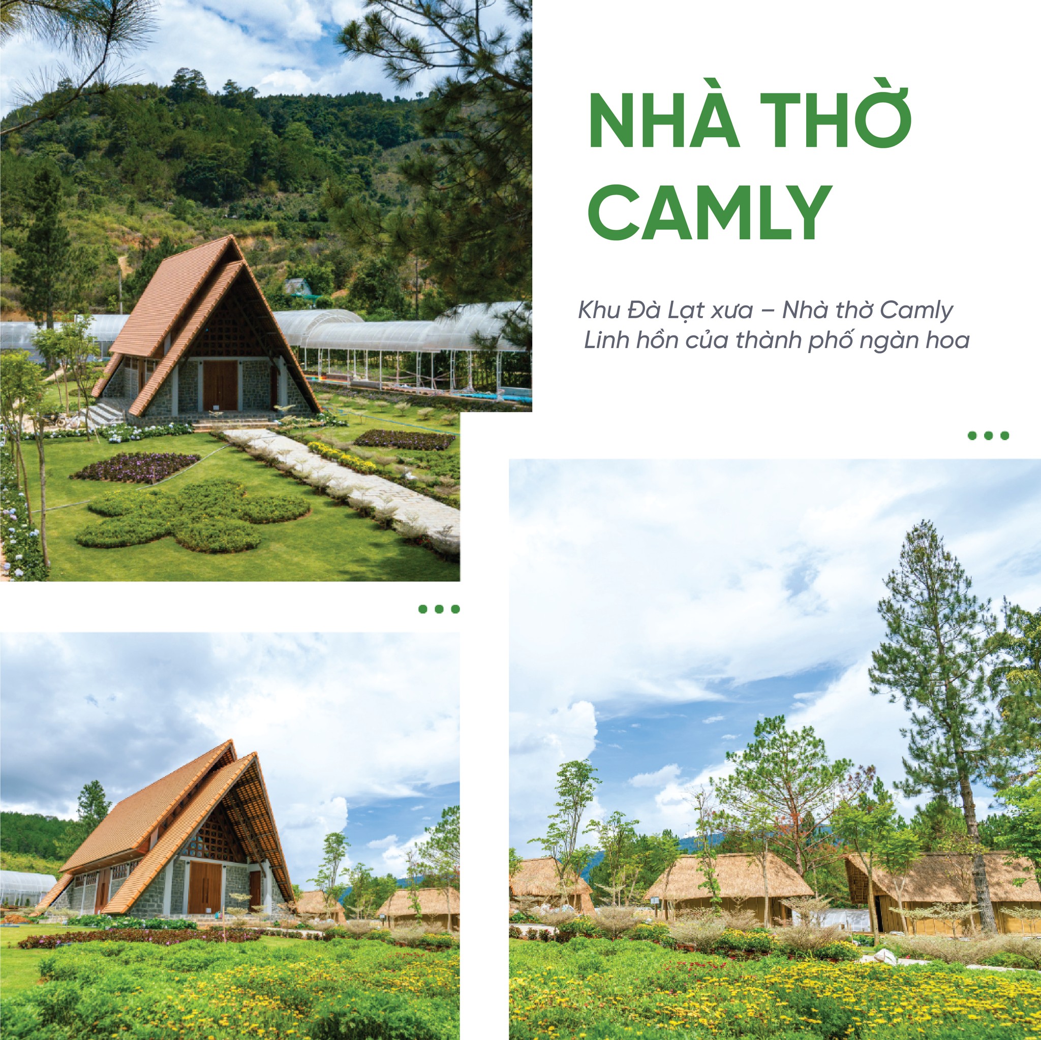lĩnh vực hoạt động